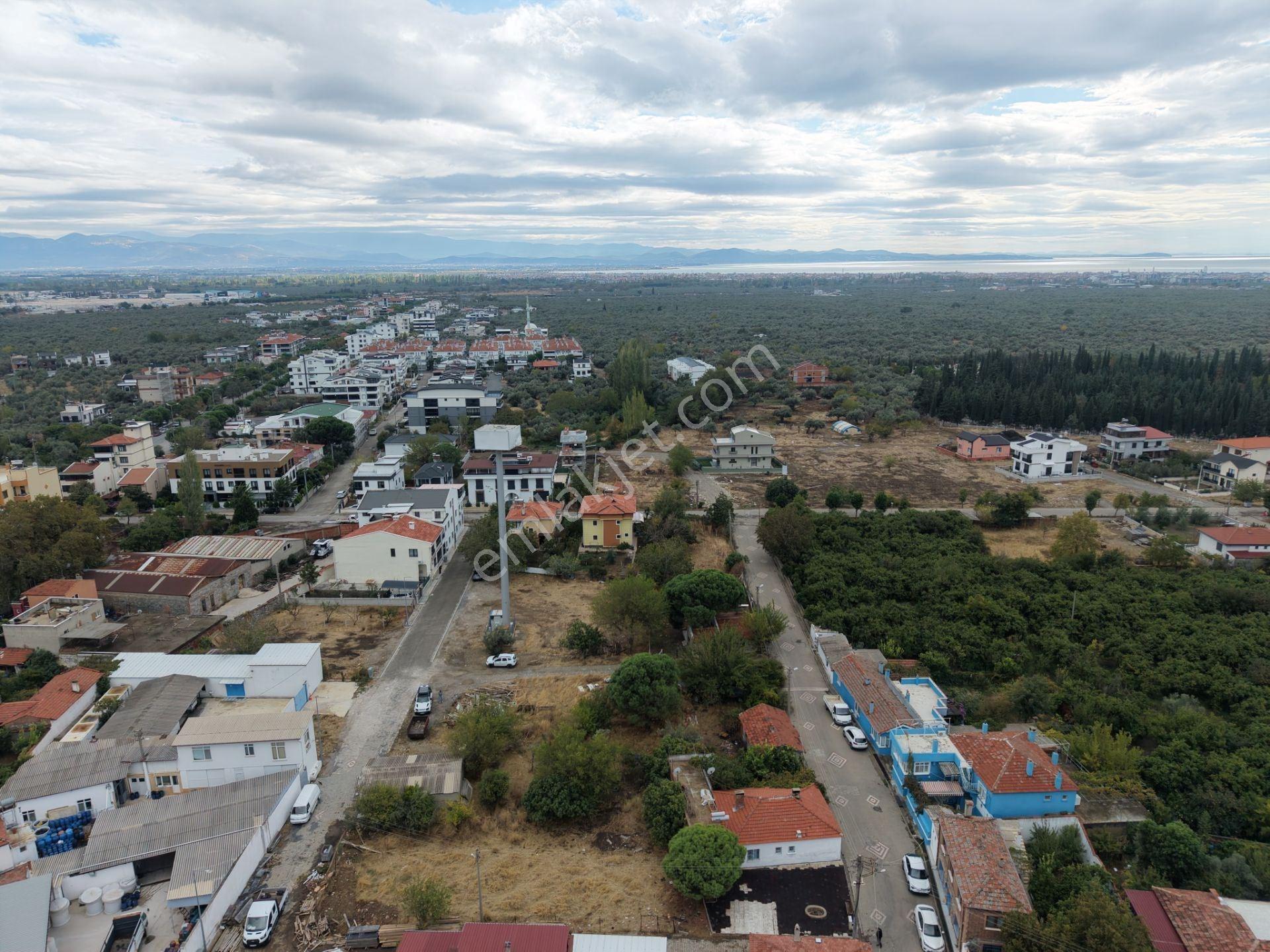 Mera Emlaktan Zeytinli Mevki 2 Villa Veya 4 Adet 1+1 368m2 Arsa — fotoğraf 7