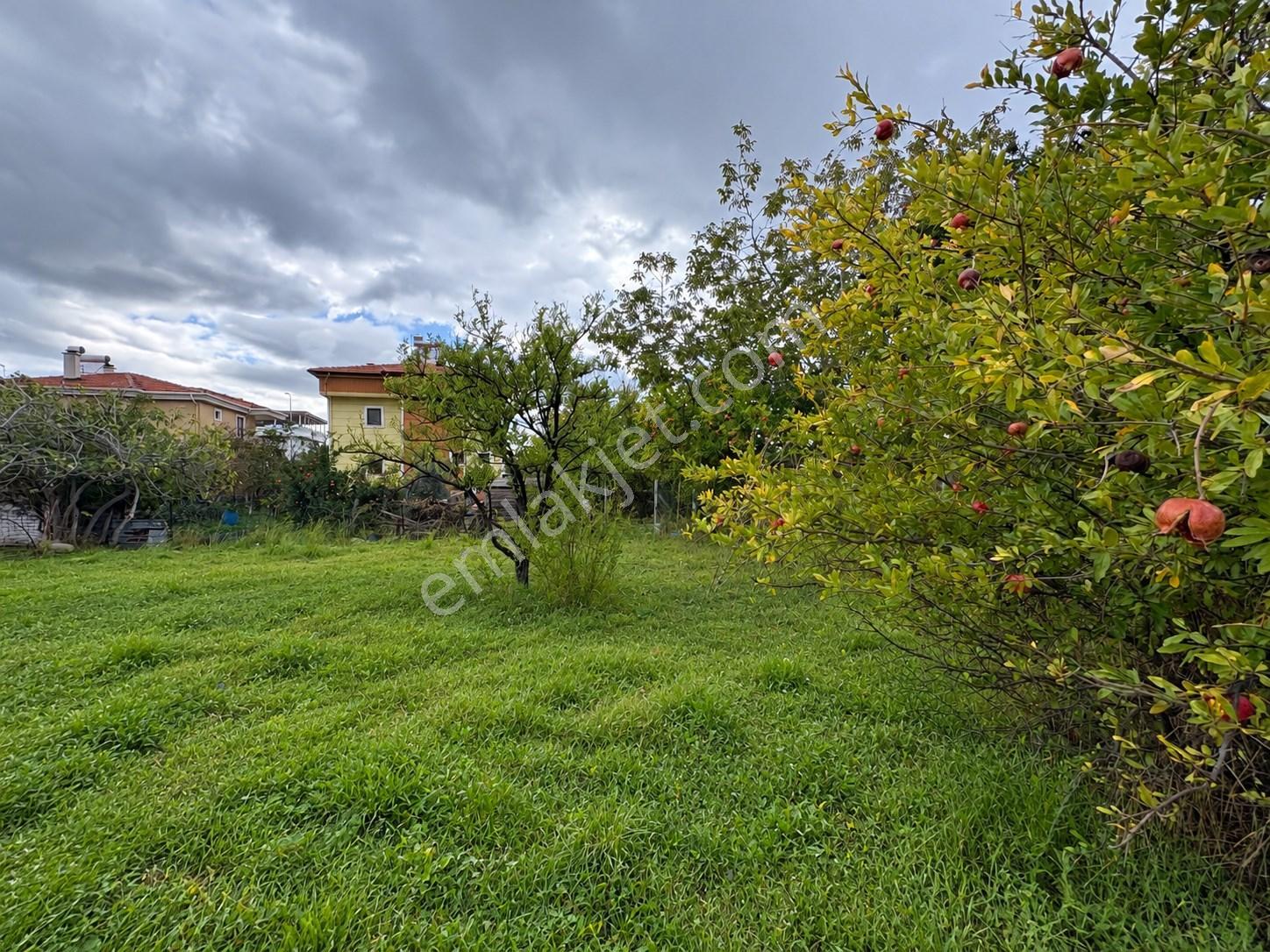 Mera Emlaktan Zeytinli Mevki 2 Villa Veya 4 Adet 1+1 368m2 Arsa — fotoğraf 11