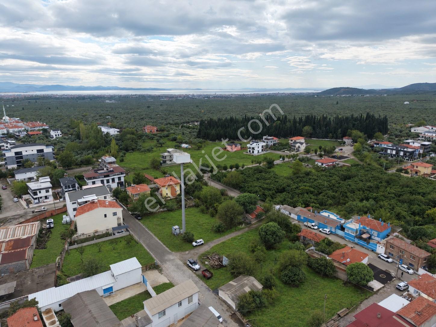 Mera Emlaktan Zeytinli Mevki 2 Villa Veya 4 Adet 1+1 368m2 Arsa — fotoğraf 12