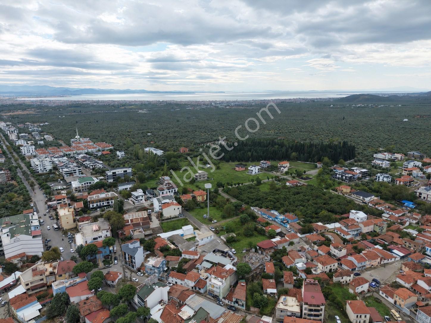Mera Emlaktan Zeytinli Mevki 2 Villa Veya 4 Adet 1+1 368m2 Arsa — fotoğraf 15