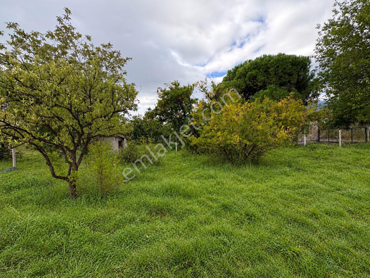 Mera Emlaktan Zeytinli Mevki 2 Villa Veya 4 Adet 1+1 368m2 Arsa — fotoğraf 16