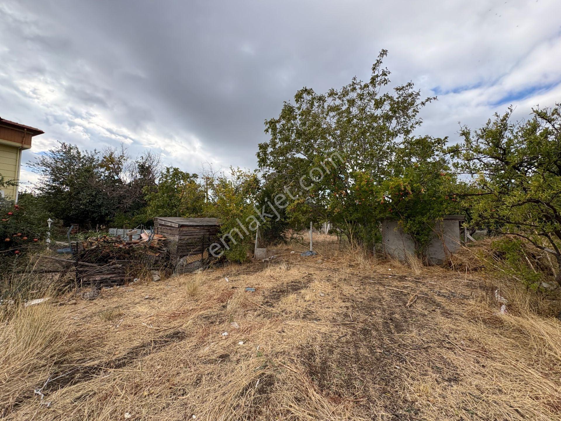 Mera Emlaktan Zeytinli Mevki 2 Villa Veya 4 Adet 1+1 368m2 Arsa — fotoğraf 21
