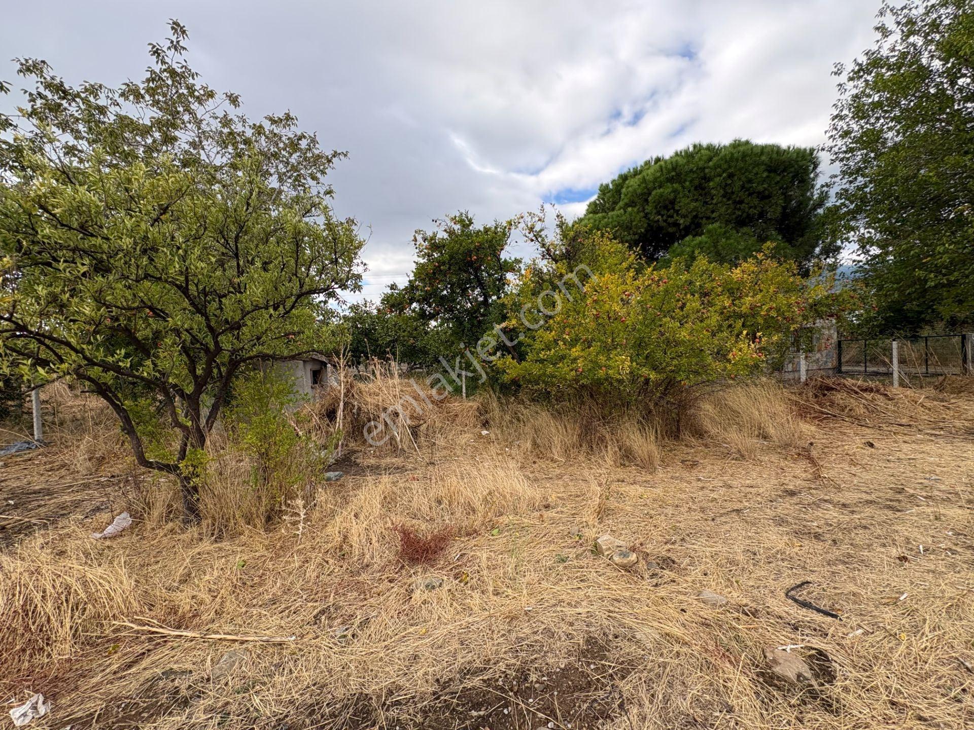Mera Emlaktan Zeytinli Mevki 2 Villa Veya 4 Adet 1+1 368m2 Arsa — fotoğraf 22