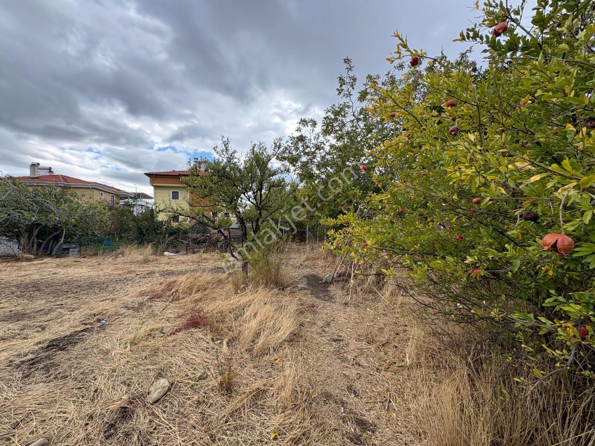 Mera Emlaktan Zeytinli Mevki 2 Villa Veya 4 Adet 1+1 368m2 Arsa — fotoğraf 25