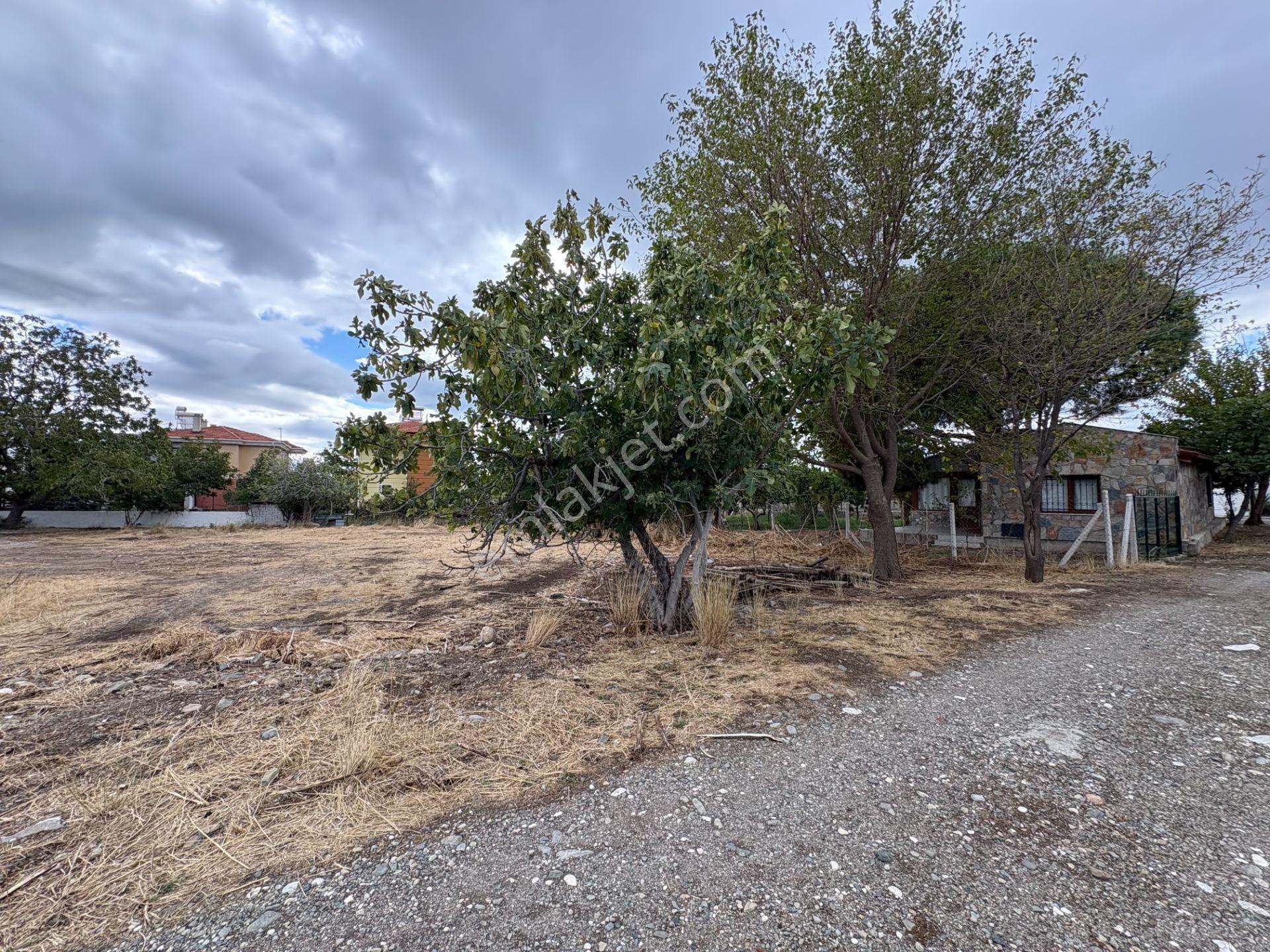 Mera Emlaktan Zeytinli Mevki 2 Villa Veya 4 Adet 1+1 368m2 Arsa — fotoğraf 31