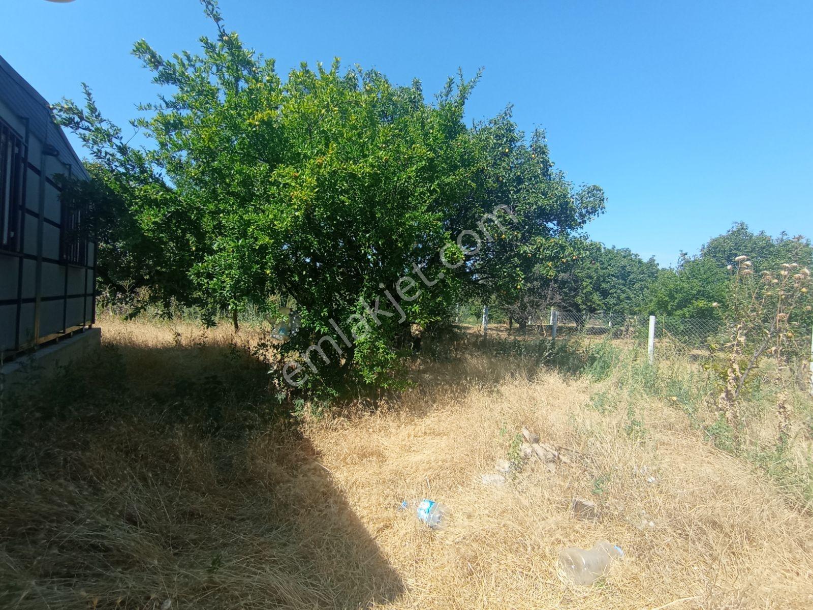 Kemalpaşa Ören'de Satılık Bahçe — fotoğraf 12