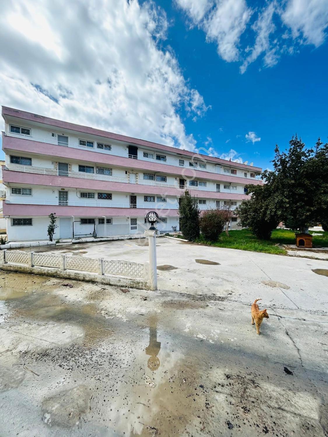 Kuşadası Davutlar Özlem Sitesi'nde 2+1 Bahçe Katı Eşyalı Temiz Daire — fotoğraf 17