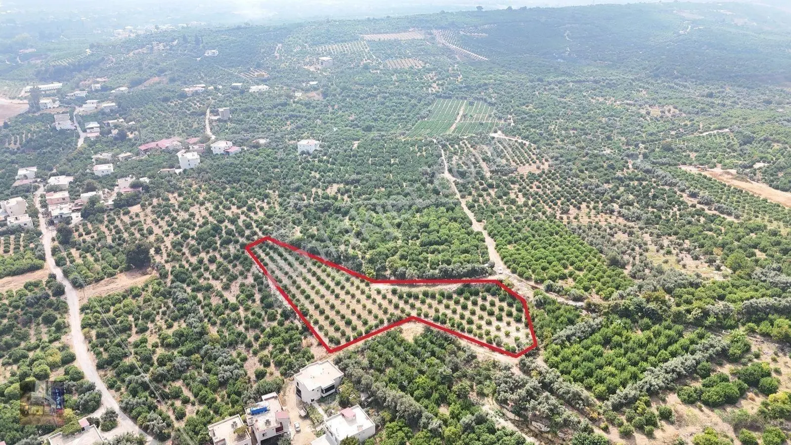 Erdemli Çiftepınar 5 Dönüm Satılık Limon Bahçesi