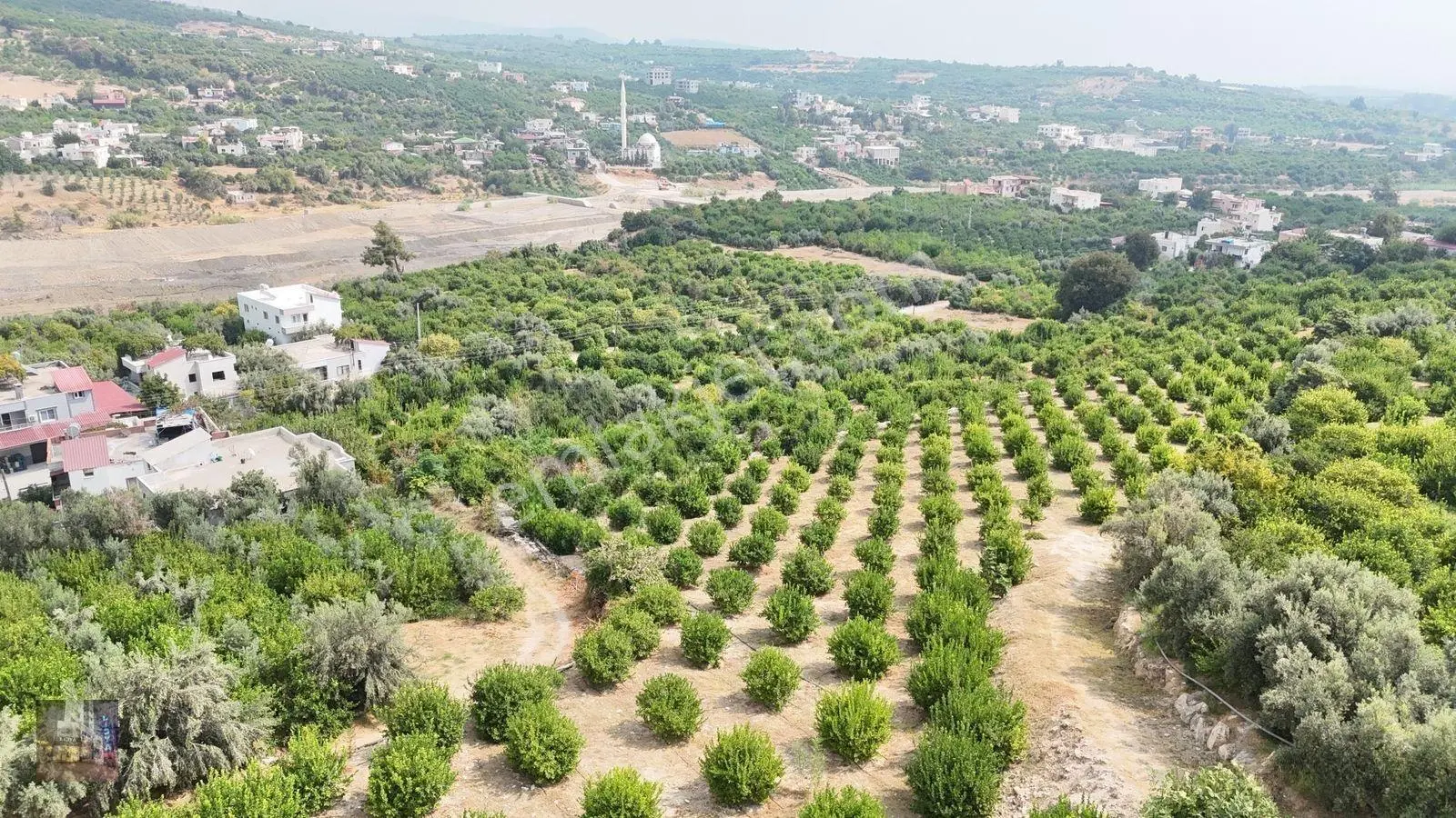 Erdemli Çiftepınar 5 Dönüm Satılık Limon Bahçesi — fotoğraf 2