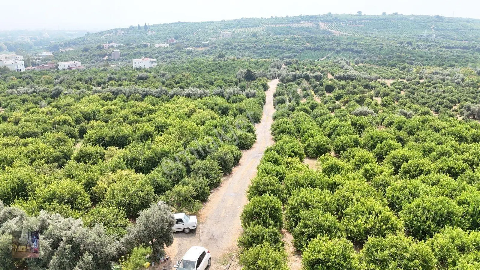 Erdemli Çiftepınar 5 Dönüm Satılık Limon Bahçesi — fotoğraf 3
