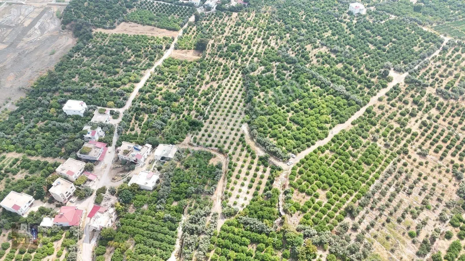 Erdemli Çiftepınar 5 Dönüm Satılık Limon Bahçesi — fotoğraf 4