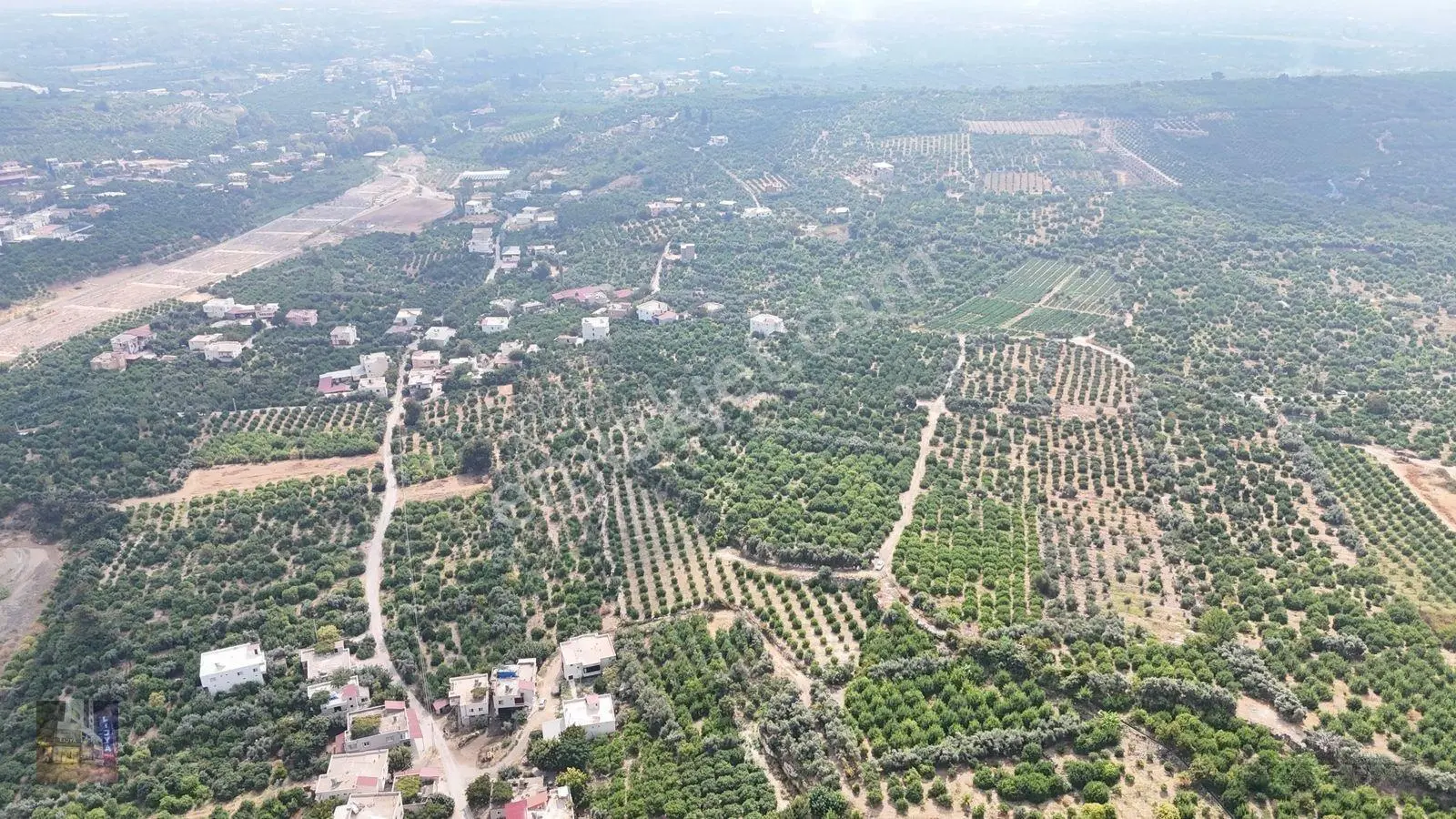 Erdemli Çiftepınar 5 Dönüm Satılık Limon Bahçesi — fotoğraf 5
