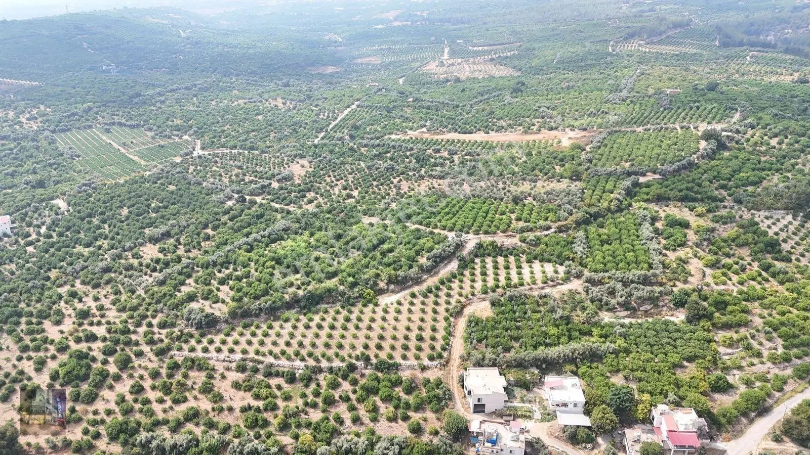Erdemli Çiftepınar 5 Dönüm Satılık Limon Bahçesi — fotoğraf 6