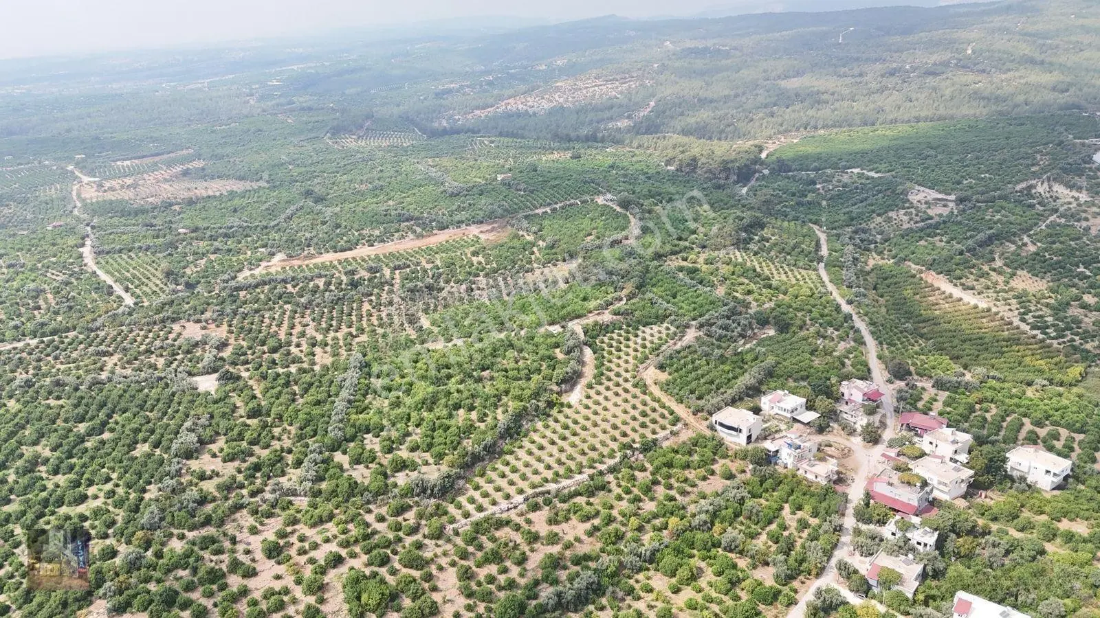 Erdemli Çiftepınar 5 Dönüm Satılık Limon Bahçesi — fotoğraf 7