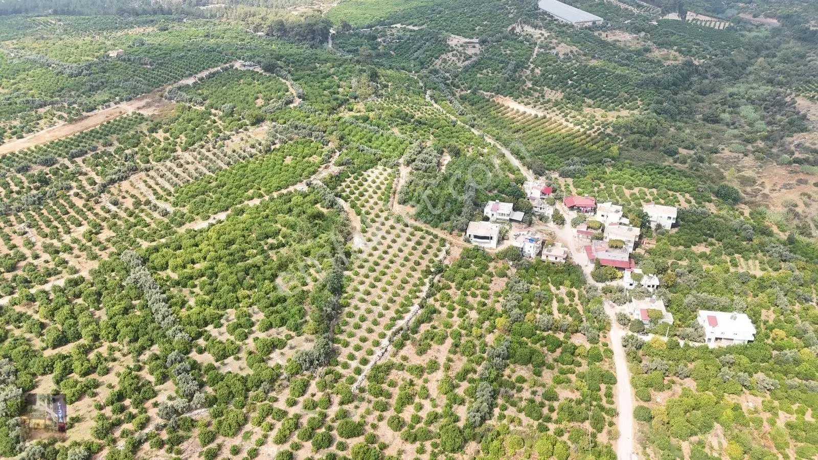 Erdemli Çiftepınar 5 Dönüm Satılık Limon Bahçesi — fotoğraf 8