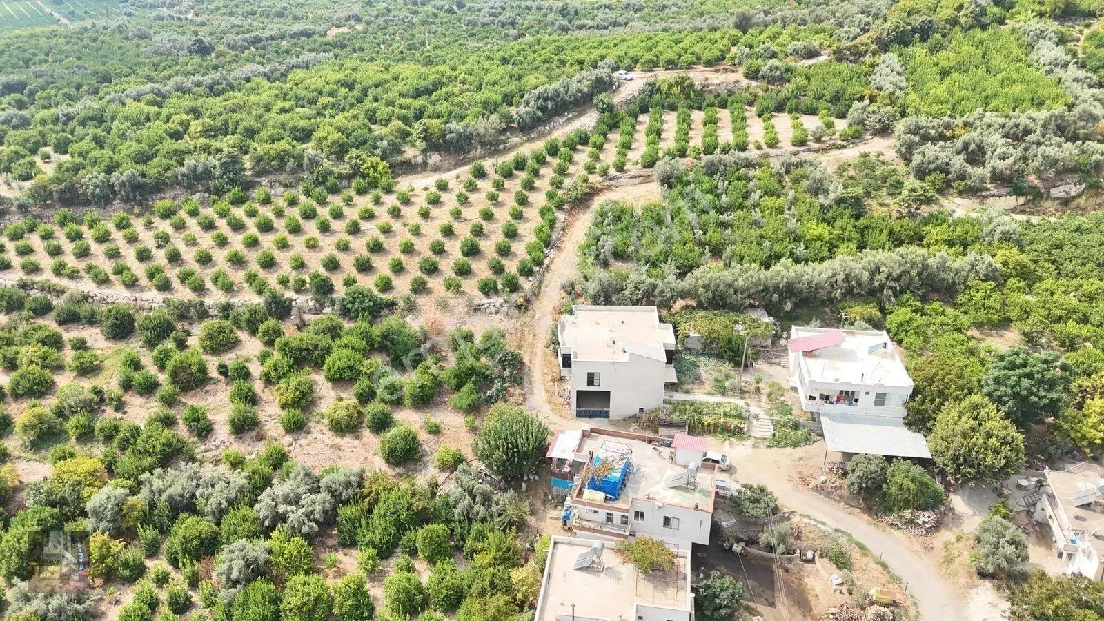 Erdemli Çiftepınar 5 Dönüm Satılık Limon Bahçesi — fotoğraf 11