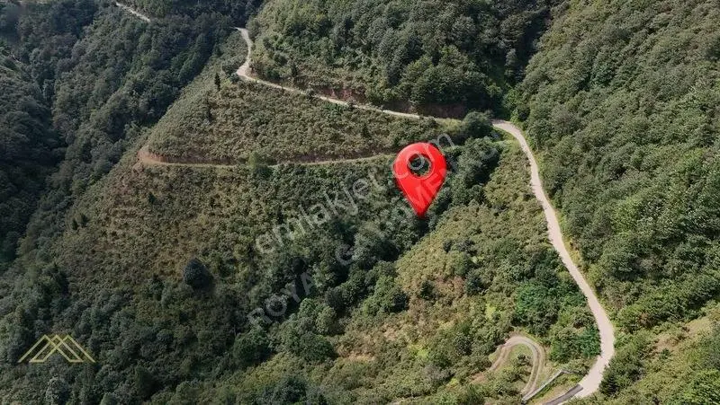Trabzon Yomra Gülyurdu Mahallesinde Satılık Arazi — fotoğraf 2