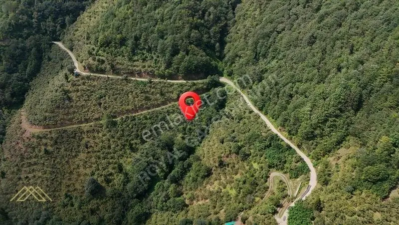 Trabzon Yomra Gülyurdu Mahallesinde Satılık Arazi — fotoğraf 3