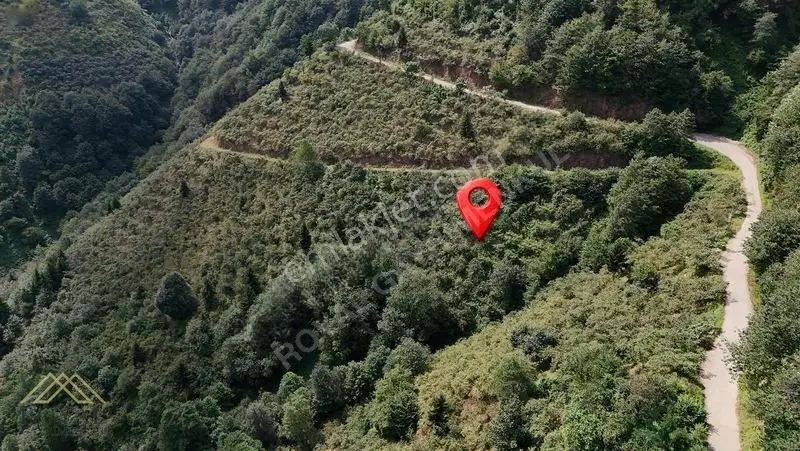 Trabzon Yomra Gülyurdu Mahallesinde Satılık Arazi — fotoğraf 4