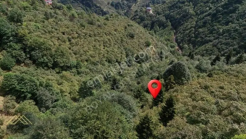 Trabzon Yomra Gülyurdu Mahallesinde Satılık Arazi — fotoğraf 7