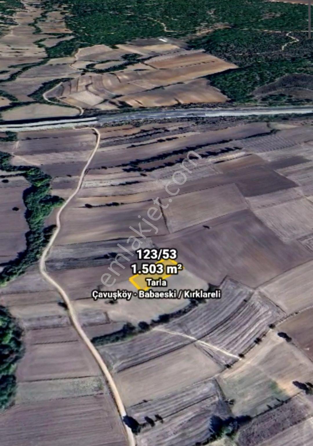 Babaeski Çavuşköy De Tek Tapulu 1503 Mt. Tarla — fotoğraf 6