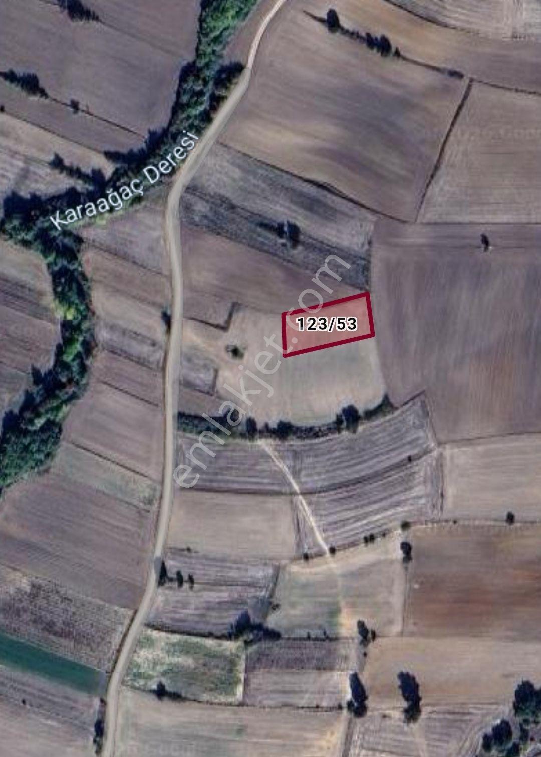 Babaeski Çavuşköy De Tek Tapulu 1503 Mt. Tarla — fotoğraf 9