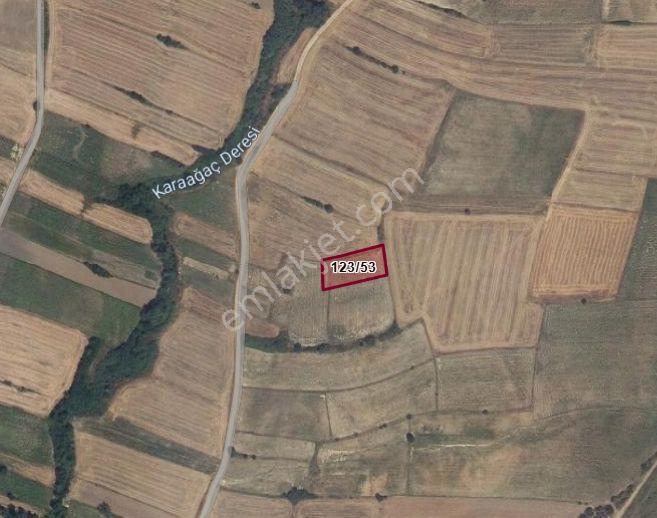 Babaeski Çavuşköy De Tek Tapulu 1503 Mt. Tarla — fotoğraf 10