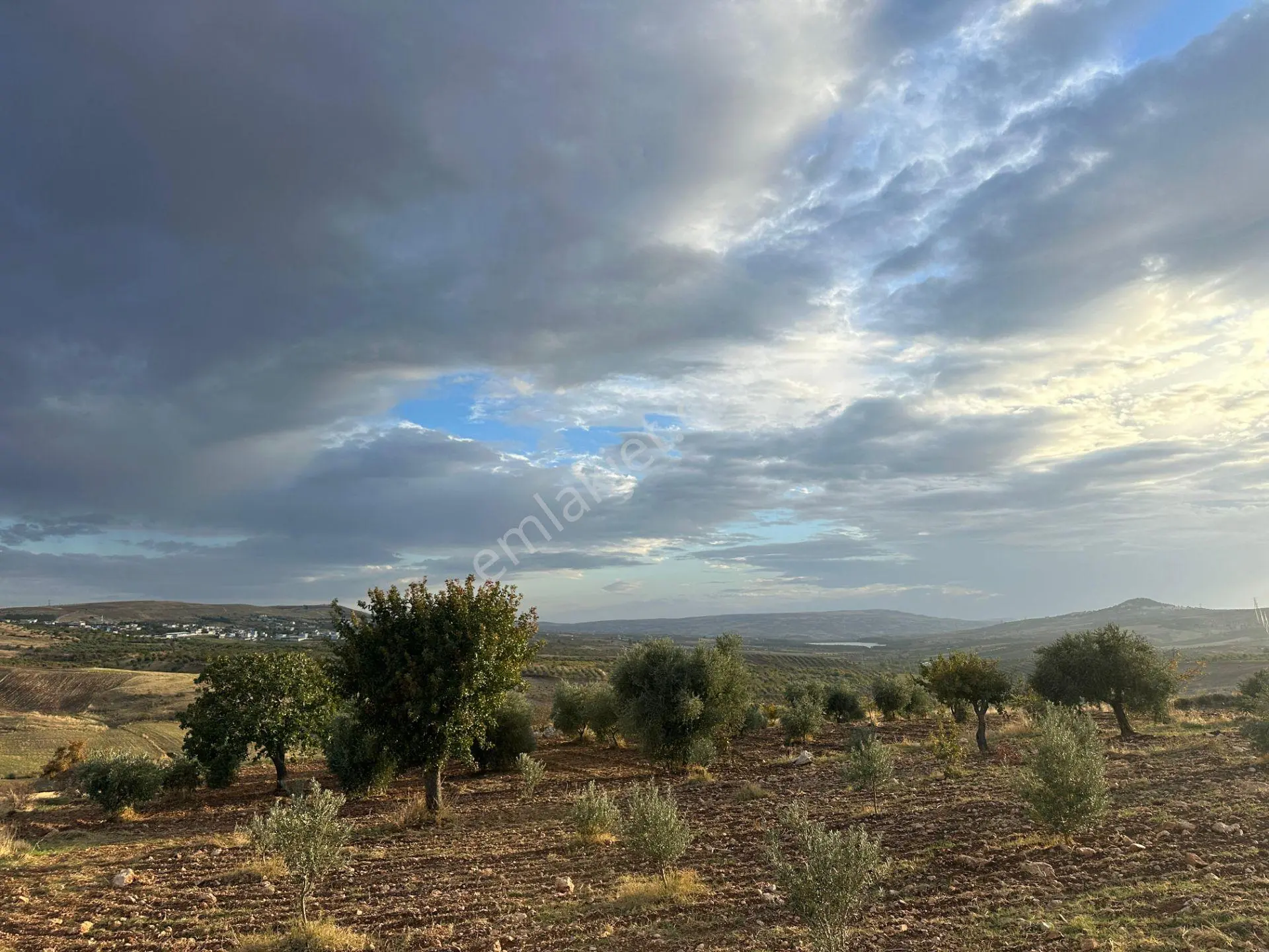 Repa Gayrimenkul Emin Darıcıoğlu Çakal'da Zirve Konumda Tarla! — fotoğraf 5