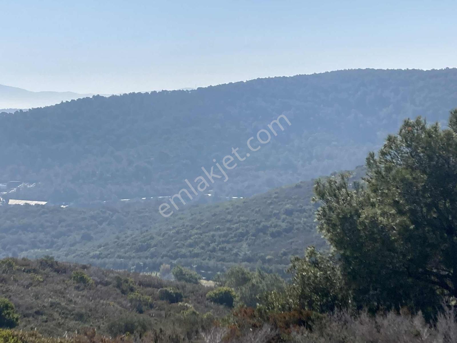 Bodrum Mılas Ara Bogazıcı Gol Denız Manzara Satılık Vılla Arsa — fotoğraf 4