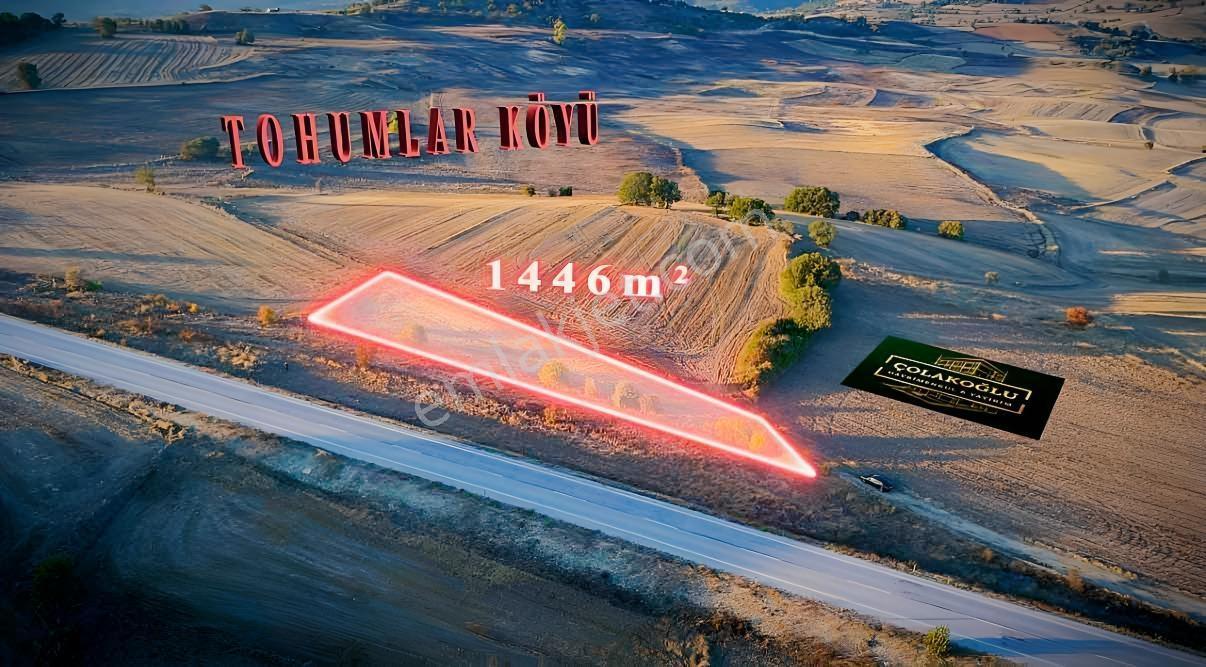 Bilecik/Yenipaza/Tohumlar Köyü /Ana Yol Kenarı/Yatırımlık Tarla