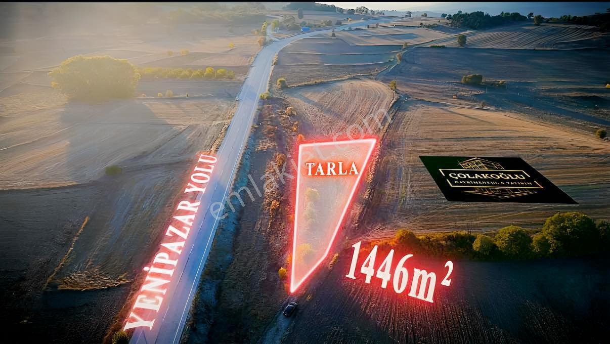 Bilecik/yenipaza/tohumlar Köyü /ana Yol Kenarı/yatırımlık Tarla — fotoğraf 3