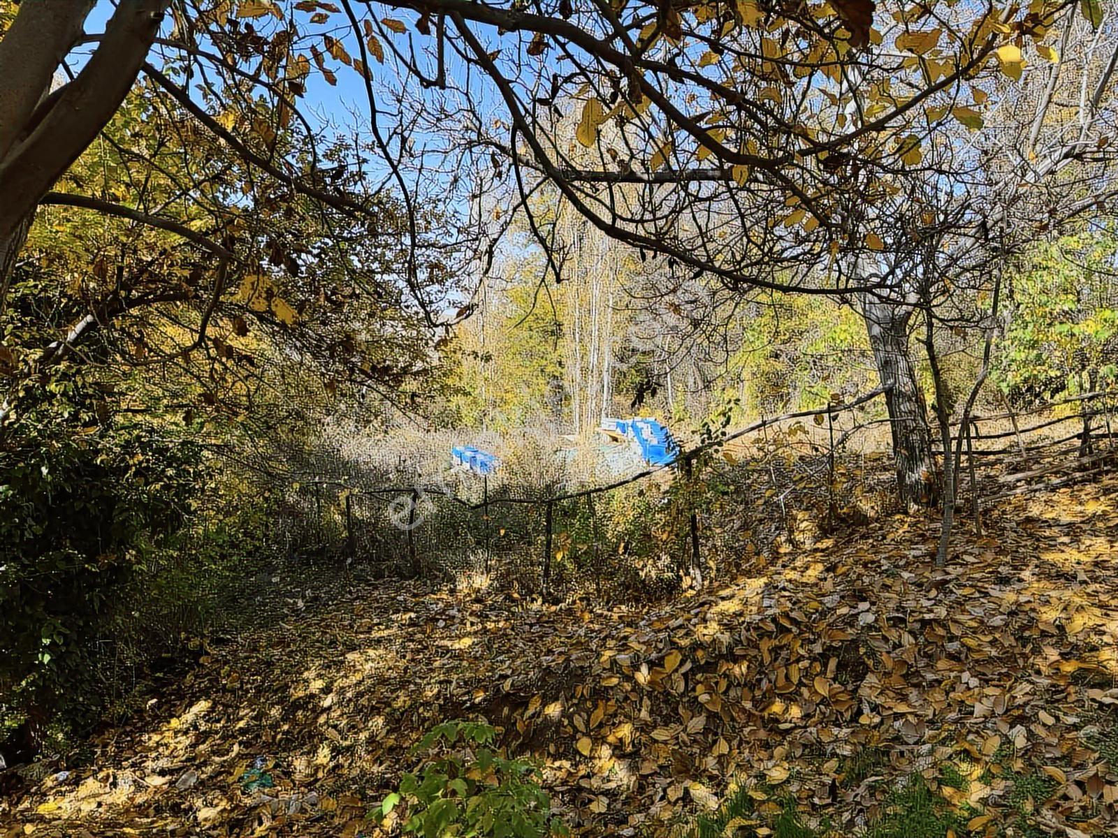 Ankara Haymana Merkezde Emsalsiz Termal Otel Arazisi — fotoğraf 13