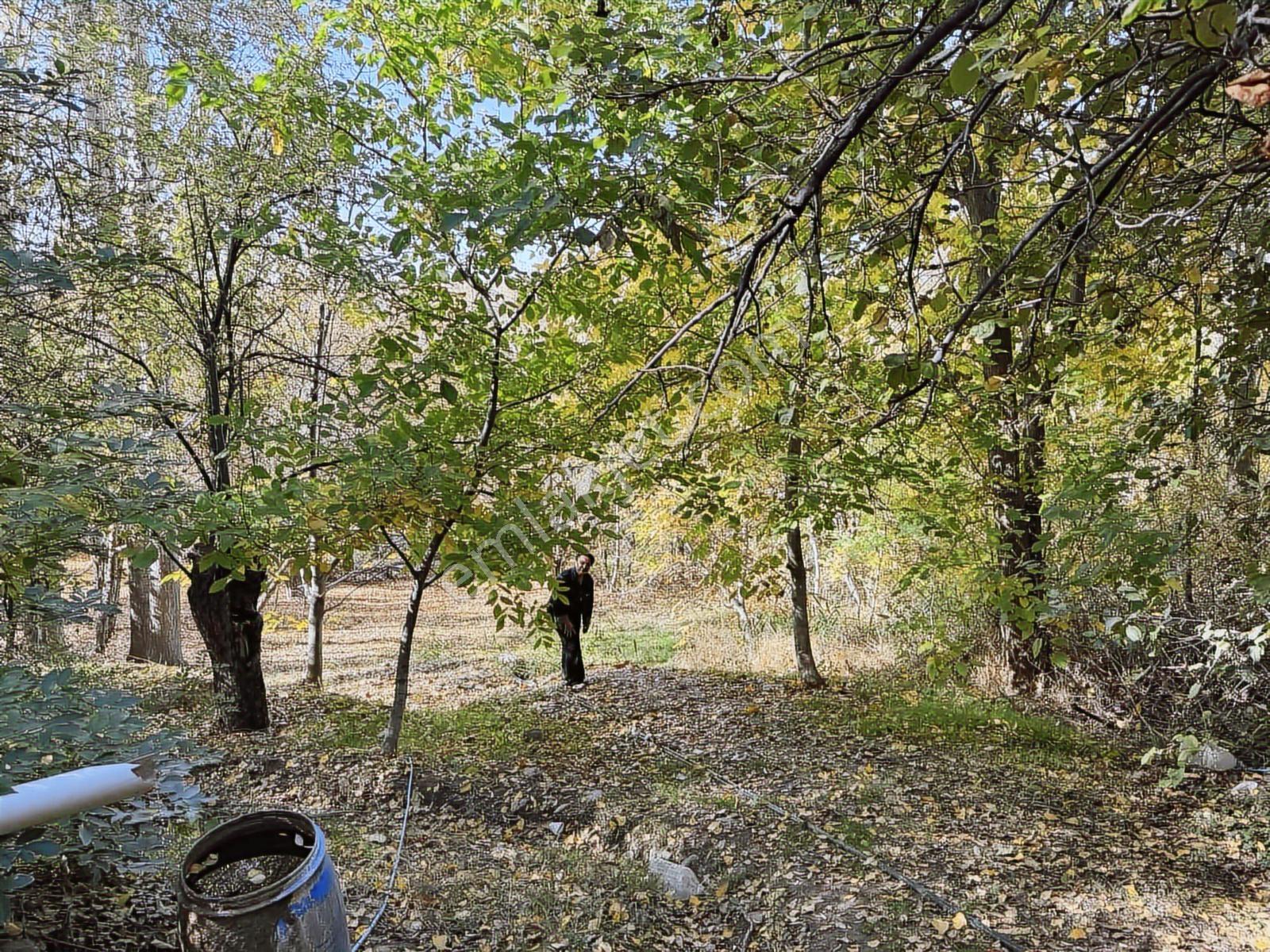 Ankara Haymana Merkezde Emsalsiz Termal Otel Arazisi — fotoğraf 15