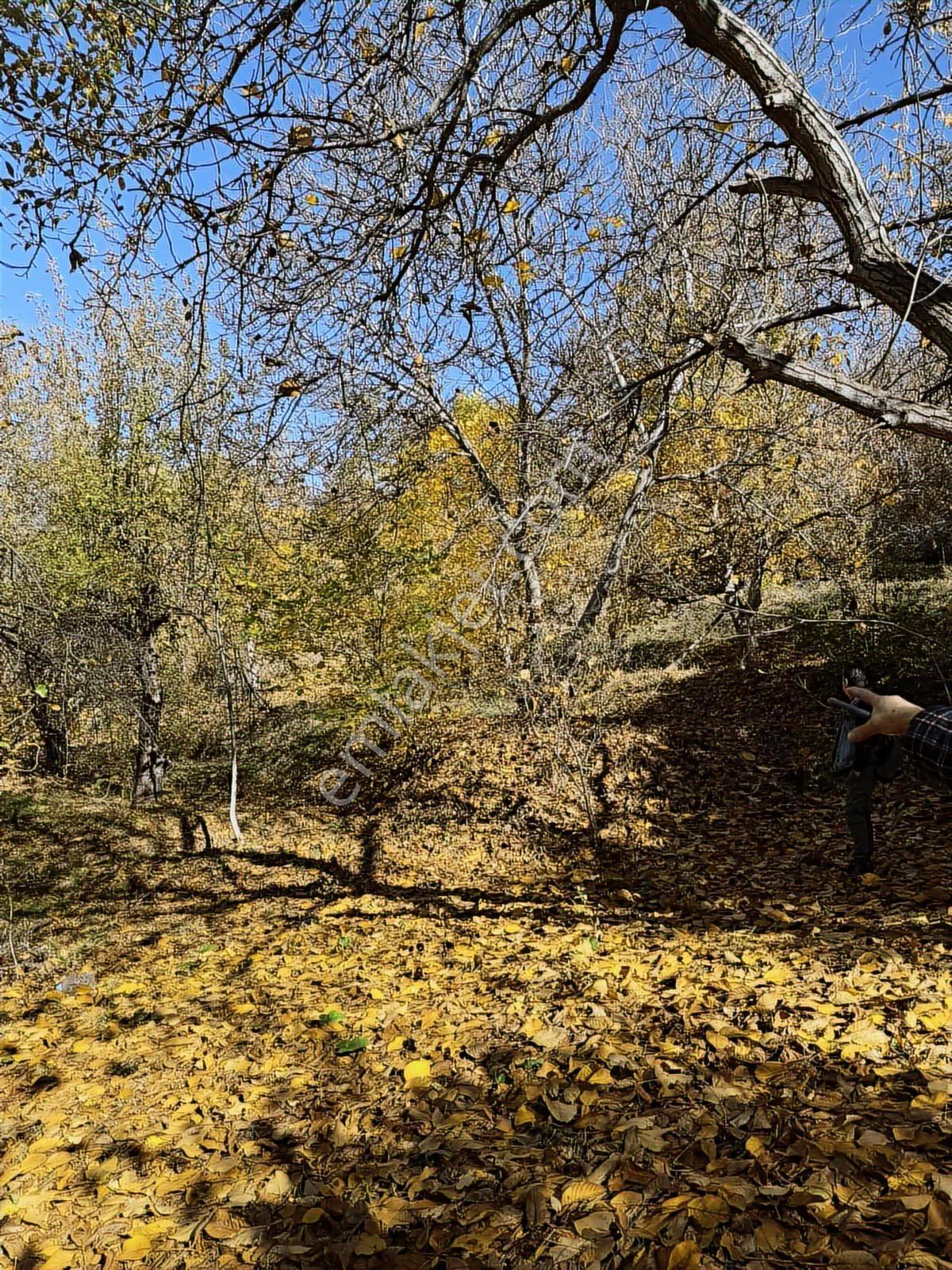 Ankara Haymana Merkezde Emsalsiz Termal Otel Arazisi — fotoğraf 16