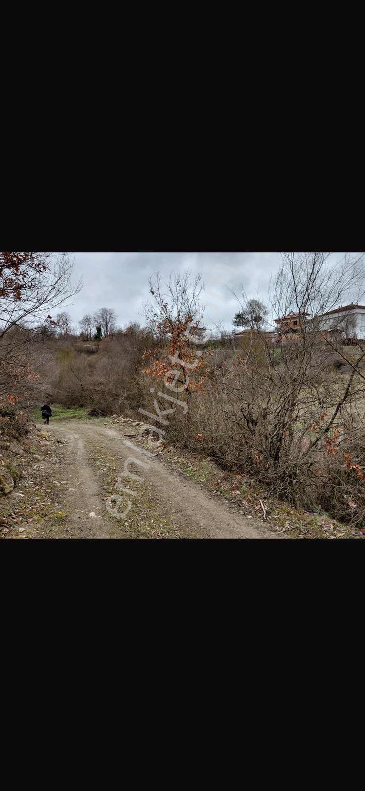 Ümmihan Abayaz'dan Yatırımlık Fırsat Satılık Tarla — fotoğraf 11