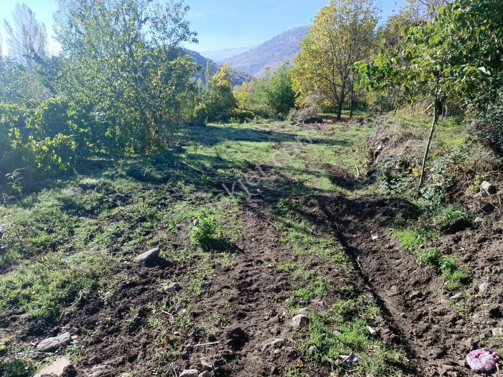 Büyükkalecik'te Yol Su Problemi Olmayan Satılık Bahçe — fotoğraf 2