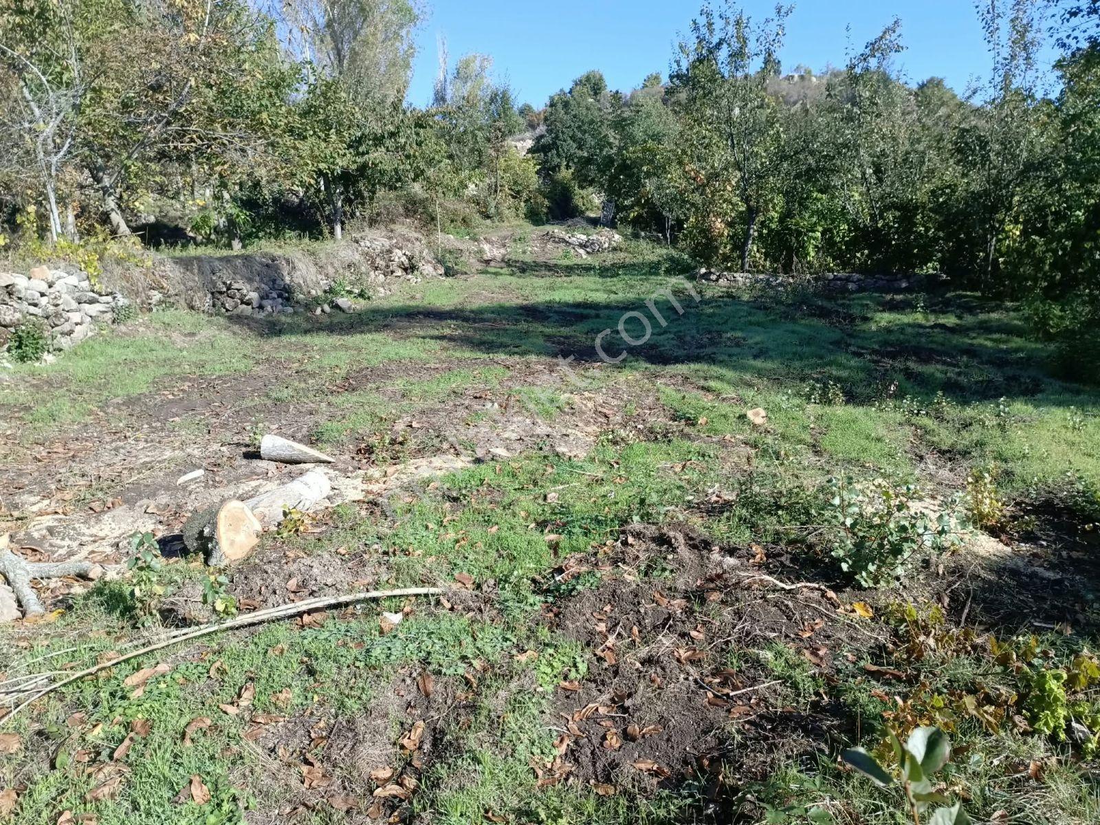 Büyükkalecik'te Yol Su Problemi Olmayan Satılık Bahçe — fotoğraf 3