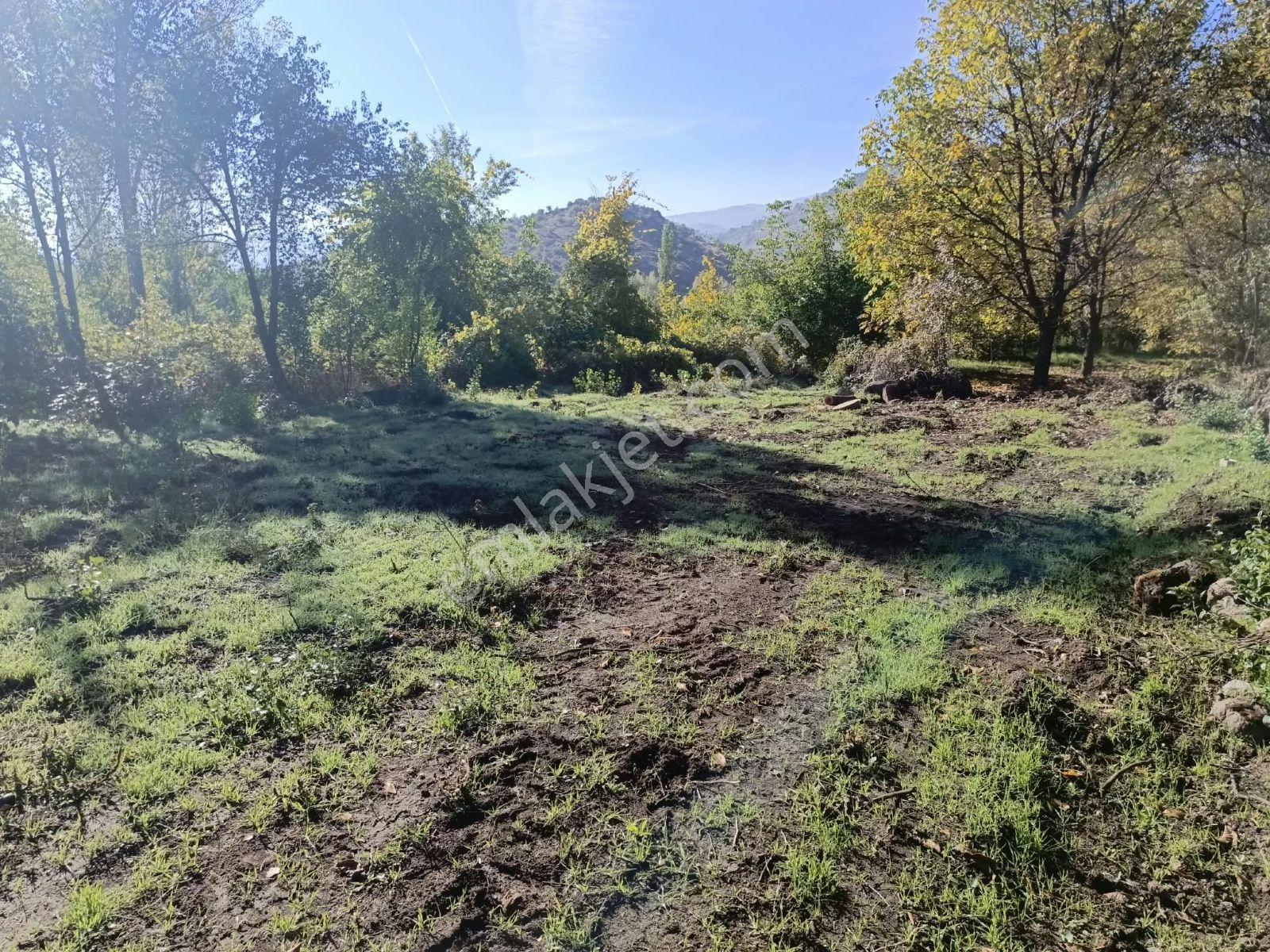 Büyükkalecik'te Yol Su Problemi Olmayan Satılık Bahçe — fotoğraf 4