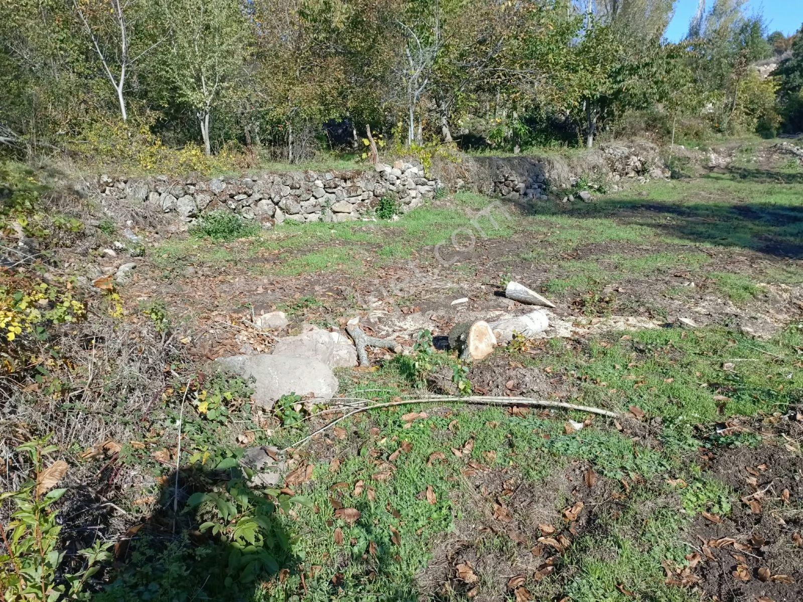 Büyükkalecik'te Yol Su Problemi Olmayan Satılık Bahçe — fotoğraf 5