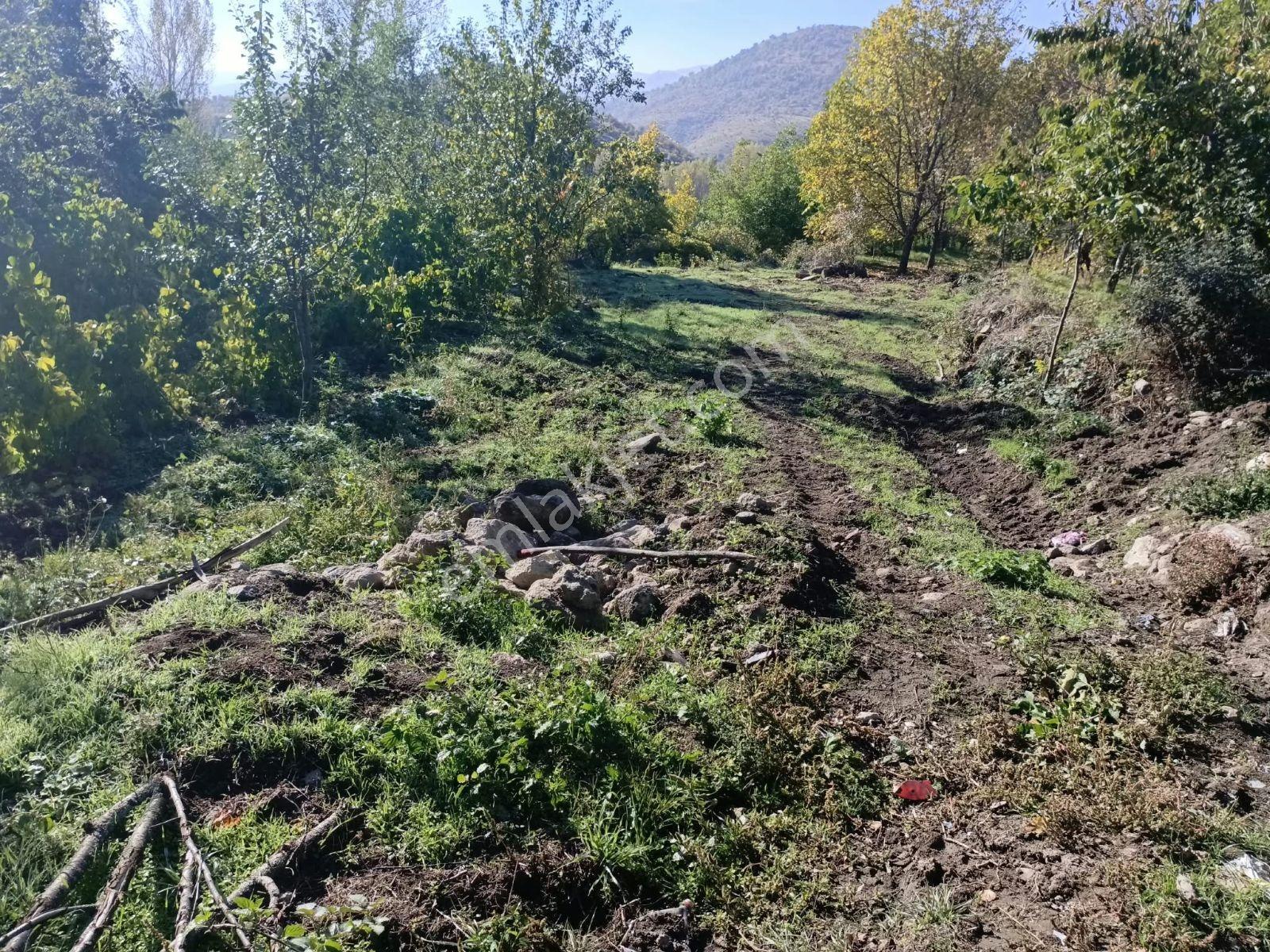 Büyükkalecik'te Yol Su Problemi Olmayan Satılık Bahçe — fotoğraf 7