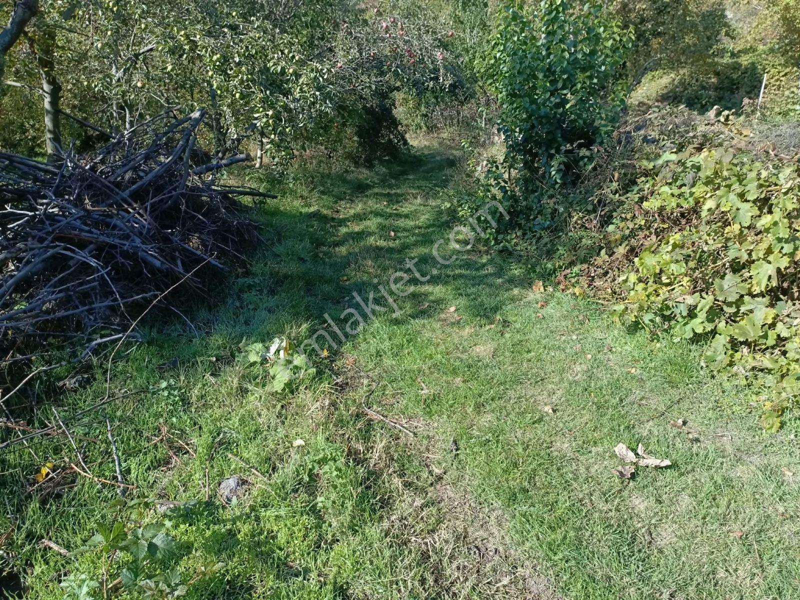 Büyükkalecik'te Yol Su Problemi Olmayan Satılık Bahçe — fotoğraf 8