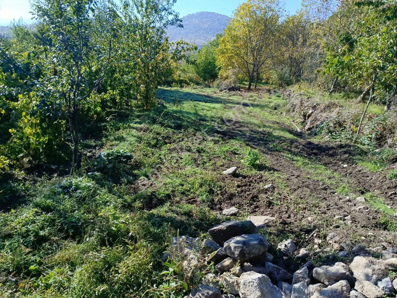 Büyükkalecik'te Yol Su Problemi Olmayan Satılık Bahçe — fotoğraf 10