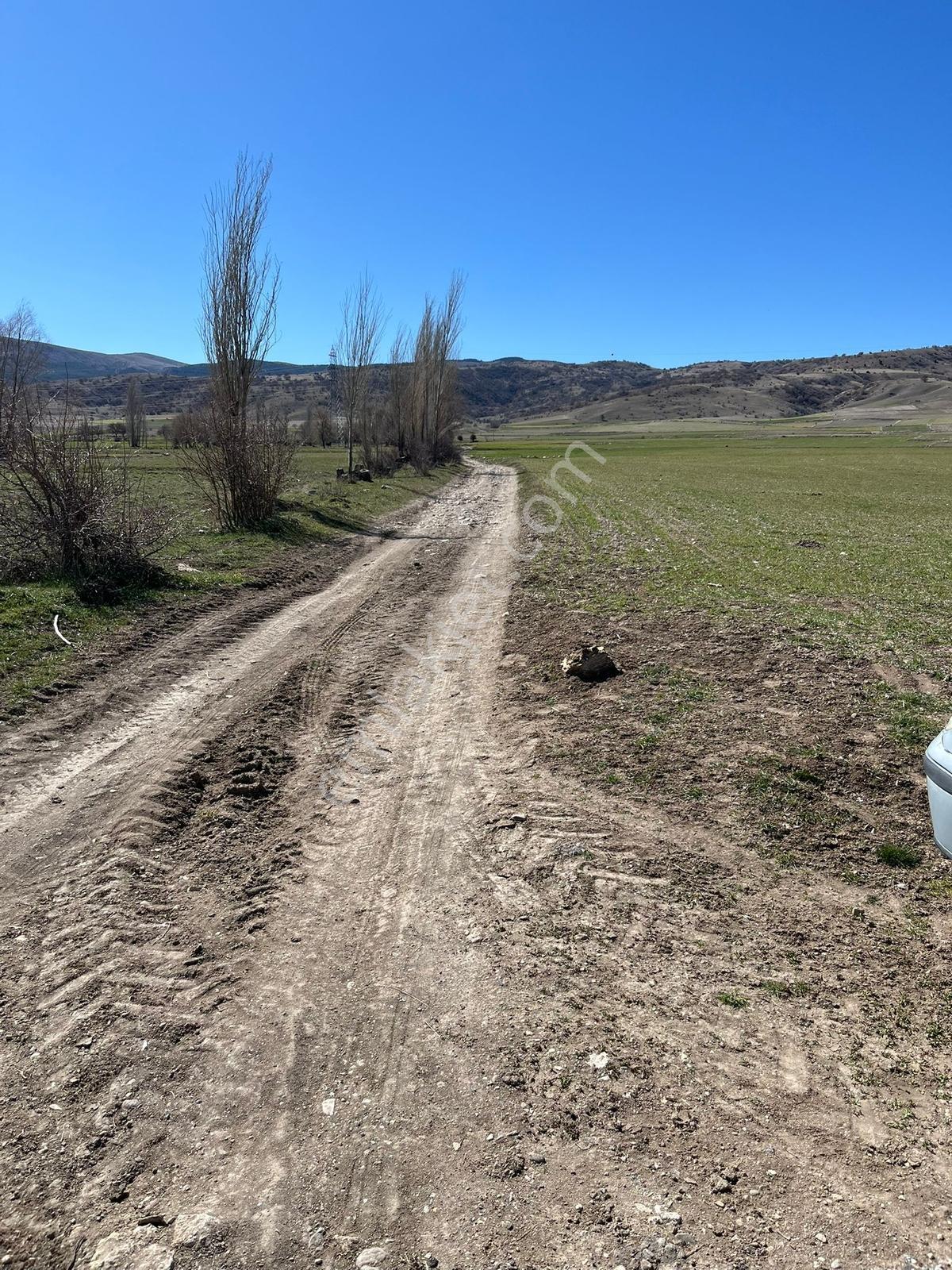 Me-ka Group"tan Degirmendere"de Satılık H Bahçesine Uygun Tarla — fotoğraf 3