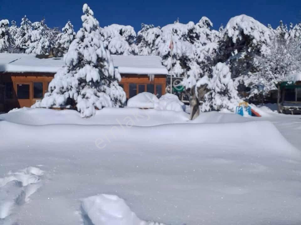 Bess'den Yarımca Köyü Sütlük Yeri Mevki Satılık Tarla — fotoğraf 12