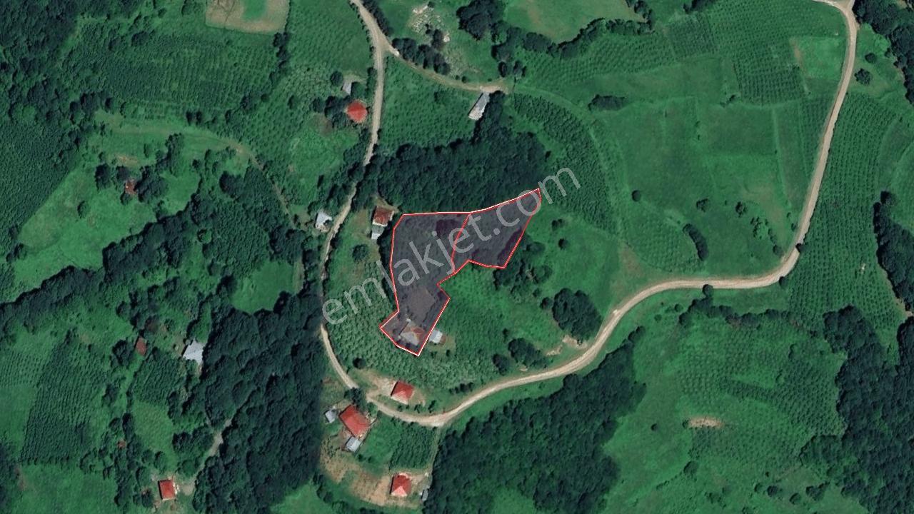 Akkuş Çayıralan-belalan Mahallesinde Satılık Arsalar | 2500 M² — fotoğraf 2