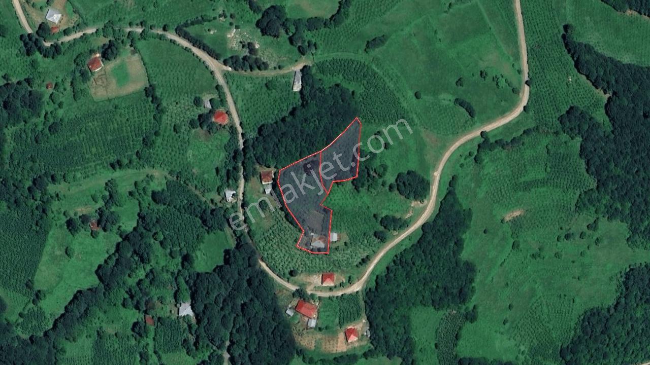 Akkuş Çayıralan-belalan Mahallesinde Satılık Arsalar | 2500 M² — fotoğraf 3