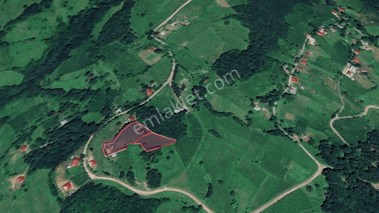 Akkuş Çayıralan-belalan Mahallesinde Satılık Arsalar | 2500 M² — fotoğraf 4