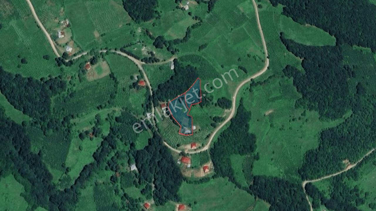 Akkuş Çayıralan-belalan Mahallesinde Satılık Arsalar | 2500 M² — fotoğraf 5