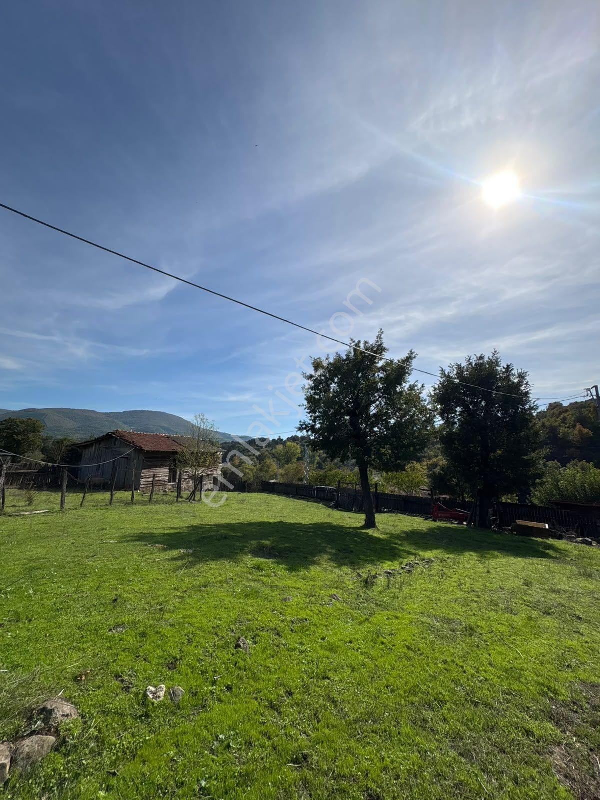 Çanakkale Yenice'de Fırsat Arsa Ve Kargir Ev — fotoğraf 9