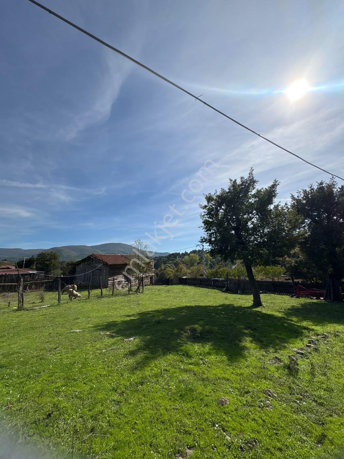 Çanakkale Yenice'de Fırsat Arsa Ve Kargir Ev — fotoğraf 26